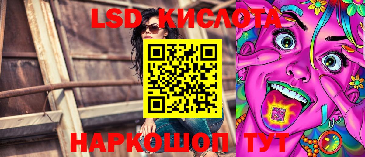 Псилоцибиновые грибы Павловский Посад