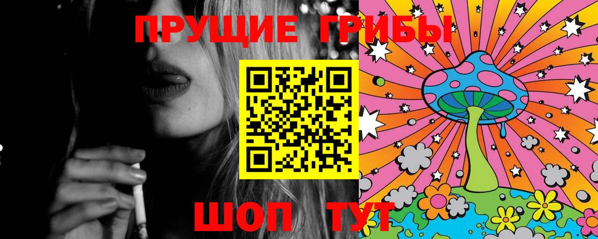 Галлюциногенные грибы GOLDEN TEACHER  где продают наркотики  Галлюциногенные грибы Magic Shrooms  Павловский Посад  Вход с VPN 